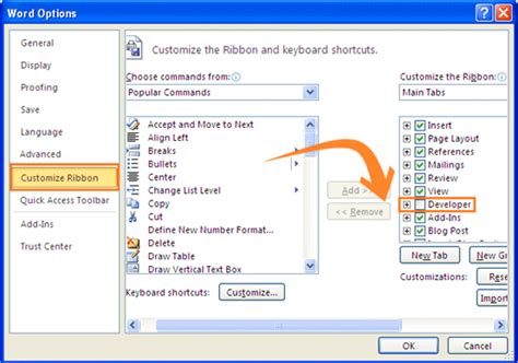 how to put the developer tab in word