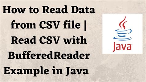 how to read a csv file in java 8 with example