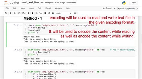 how to read text file in python pandas