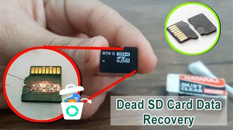 how to recover data from dead micro sd card
