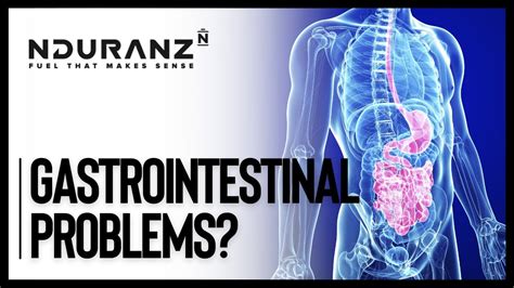 how to reduce gastrointestinal problems