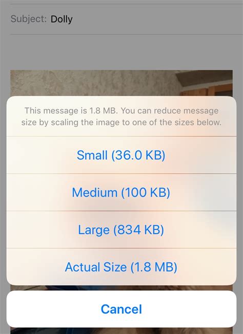 how to reduce size of display on iphone