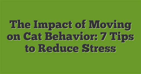 how to reduce stress in cats when moving