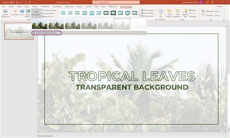 how to reduce transparency of background image in ppt
