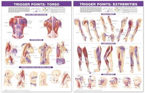 how to release trigger points