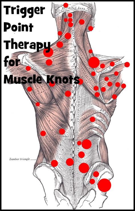 how to release trigger points in back