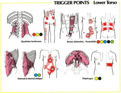 how to release trigger points in lower back