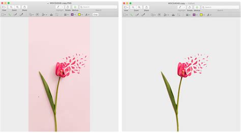 how to remove a background on preview