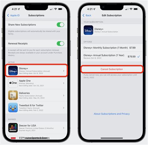 how to remove a subscription from app store