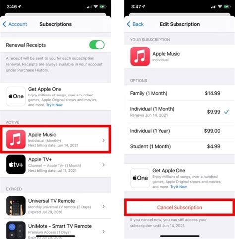 how to remove active subscription from apple id