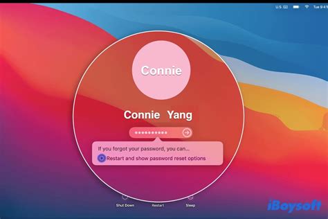how to remove apple id from macbook pro without password