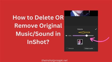how to remove audio from video on inshot