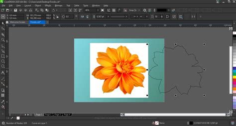how to remove background color in coreldraw