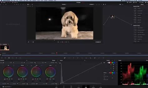 how to remove background from image in davinci resolve free