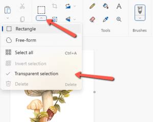 how to remove background from picture in microsoft paint
