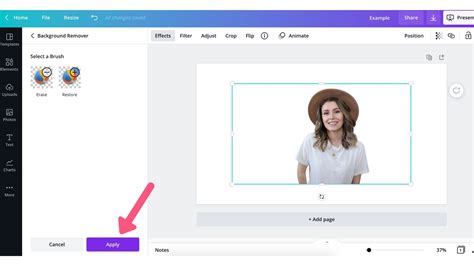 how to remove background from video in canva
