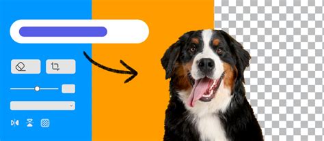 how to remove background noise from video in adobe express
