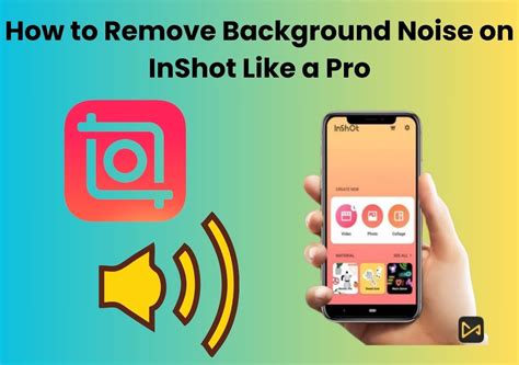 how to remove background noise from video in inshot