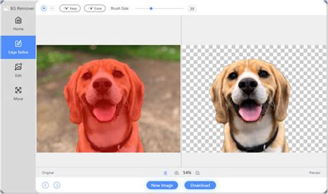 how to remove background people from image in google photos