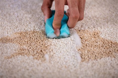 how to remove carpet stains with white vinegar