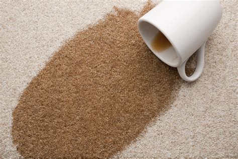 how to remove coffee stains from carpet
