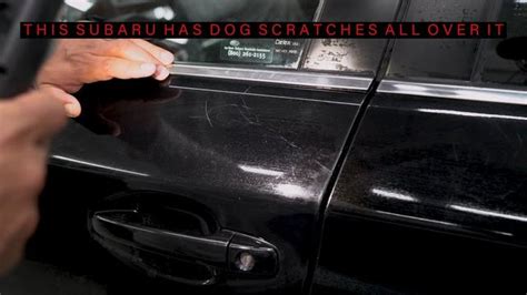 how to remove dog scratches from car bonnet
