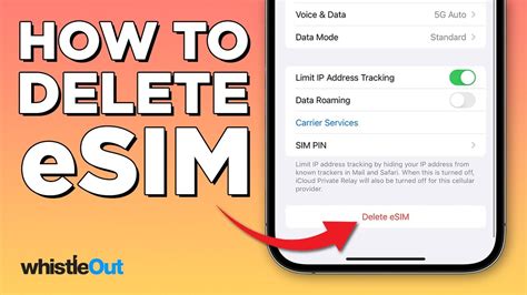 how to remove esim from iphone