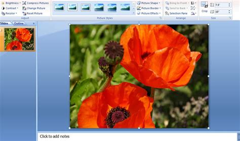 how to remove image background in powerpoint 2007