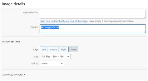 how to remove image captions in wordpress