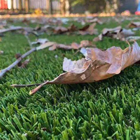 how to remove leaves from artificial turf