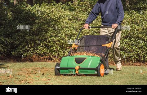 how to remove leaves from grass