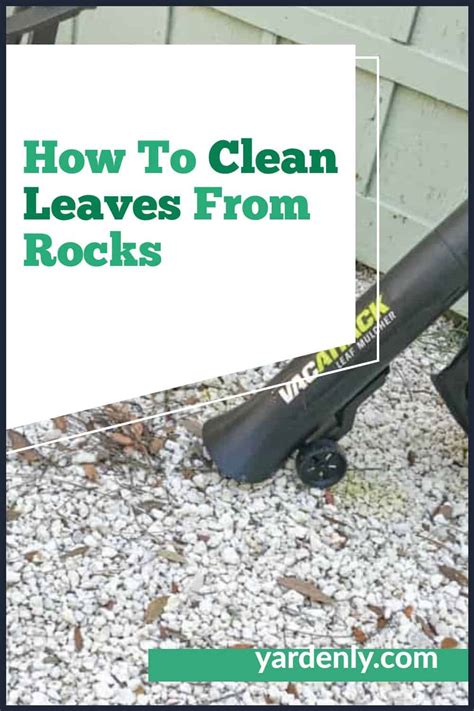how to remove leaves from rocks