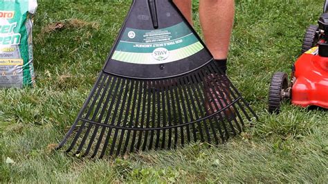 how to remove leaves from yard