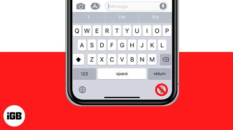 how to remove microphone icon on iphone keyboard