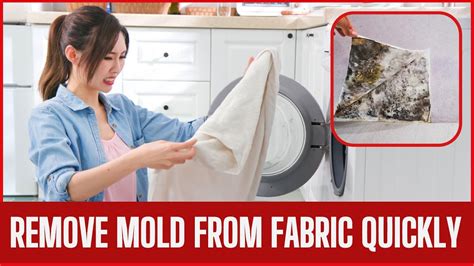 how to remove mold from polyester bag