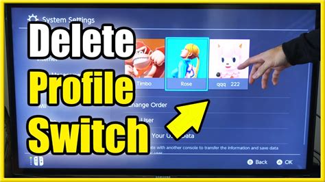 how to remove profile from switch lite