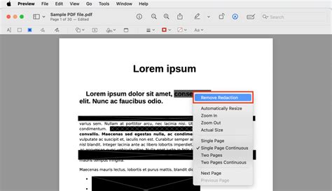 how to remove redaction marks from pdf