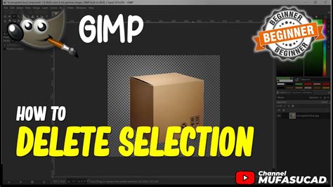 how to remove something from an image in gimp