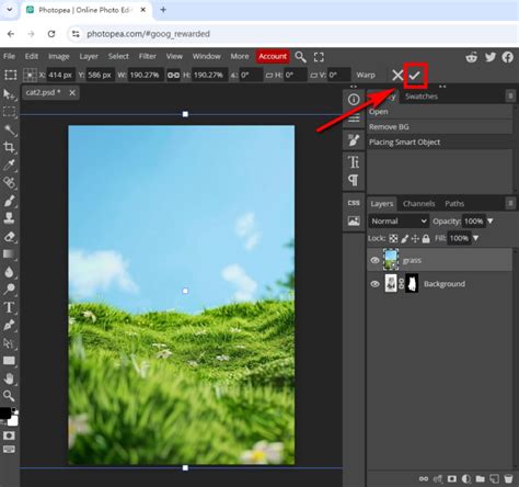 how to remove something from an image in photopea