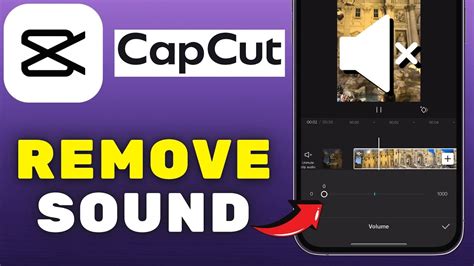 how to remove sound from video in capcut