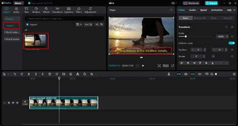 how to remove subtitles in capcut