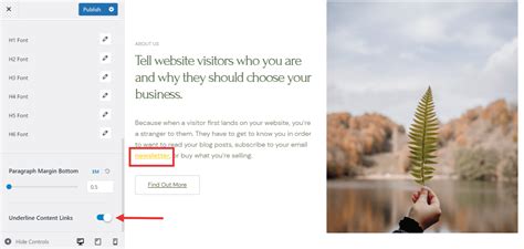 how to remove text decoration in wordpress