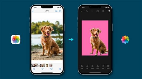 how to remove the background from a picture on iphone