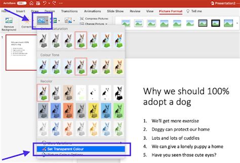 how to remove the white background from an image in powerpoint