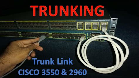 how to remove trunk from cisco switch
