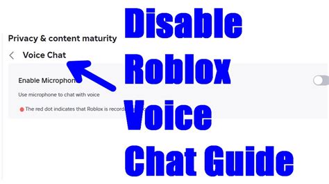 how to remove voice chat off roblox