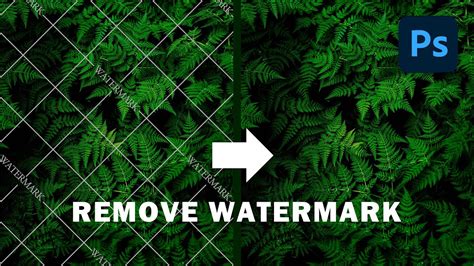how to remove watermark from image without photoshop