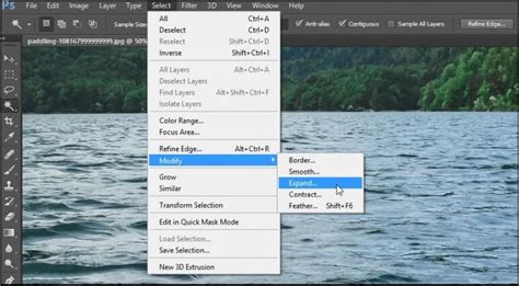 how to remove watermark from photo using photoshop elements
