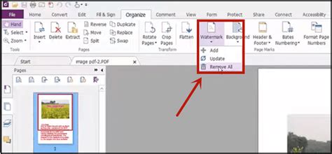 how to remove watermark in pdf xchange editor