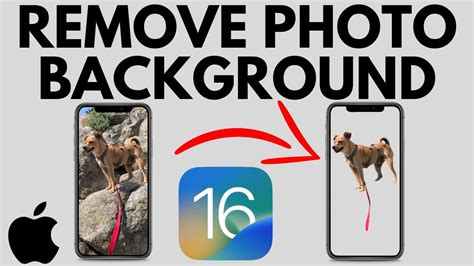 how to remove white background from image iphone